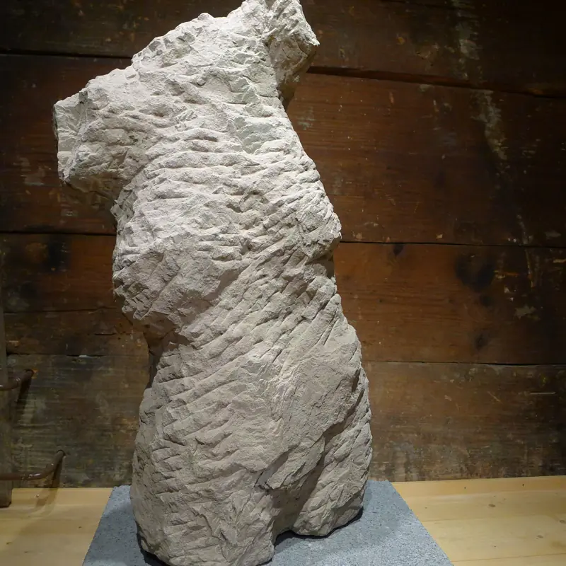 Torso