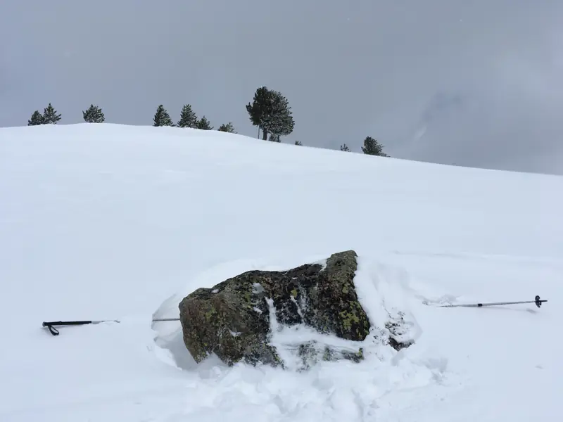Muntatsch